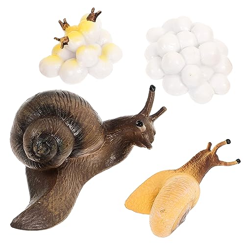 Abaodam Realistisches Teiliges Schneckenwachstumszyklus Modell Leichtes Pädagogisches Lernspielzeug für Naturwissenschaftliche Früherziehung Fördert Neugier und Naturverständnis von Abaodam