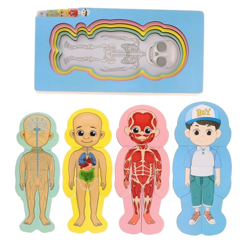 Abaodam Montessori-Spielzeug – Körperpuzzle Aus Holz Für Kleinkinder Anatomie-Puzzle-spielzeugset Für Kinder von Abaodam