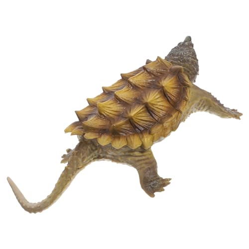 Abaodam Kleine Schildkröte Figurine Realistisches Schildkrötenmodell Simuliertes Tiermodell Für Garten Und Schreibtischdekoration Lernspielzeug Für Tierfiguren Für Deko Und Bildung Abaodam Kleine Schildkröte Figurine Realistisches Schildkrötenmodell Simuliertes Tiermodell Für Garten Und Schreibtischdekoration Lernspielzeug Für Tierfiguren Für Deko Und Bildung von Abaodam