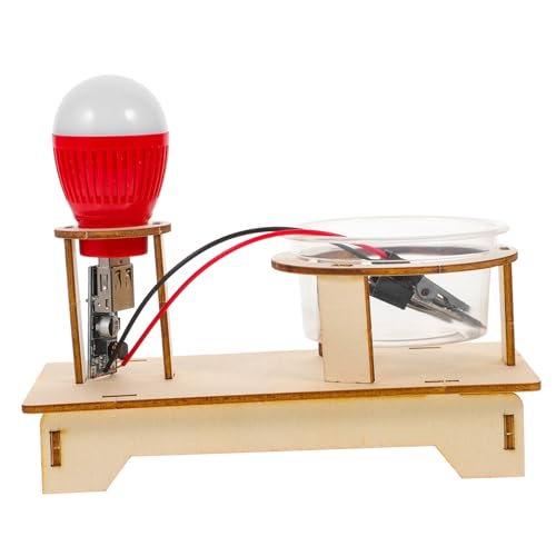 Abaodam Science Experiment Kit DIY Salzlösung Schaltkreis Bausatz für Schüler Physik Lehrmittel zum Elektrizitätsleitungs Experiment mit Einfachem Aufbau und Lernmaterial für Grundschüler von Abaodam