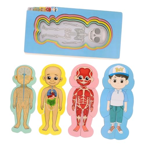 Abaodam Set Menschlicher Körper Struktur Puzzle Puzzles Menschlicher Körper Puzzle Für Organ Modelle Gehirn Holz Abaodam Set Menschlicher Körper Struktur Puzzle Puzzles Menschlicher Körper Puzzle Für Organ Modelle Gehirn Holz von Abaodam