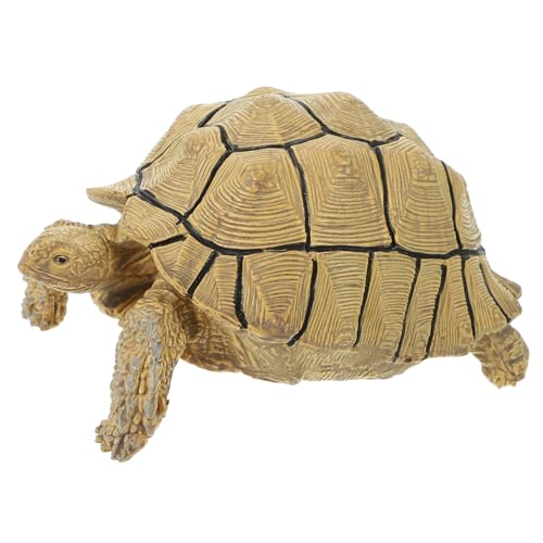 Abaodam Simulation Schildkröte Figur für realistische Schildkröte Modell zum Lernen und Spielen für pädagogische Einstellungen und Tiererkennung Sucata Schildkröte Abaodam Simulation Schildkröte Figur für realistische Schildkröte Modell zum Lernen und Spielen für pädagogische Einstellungen und Tiererkennung Sucata Schildkröte von Abaodam