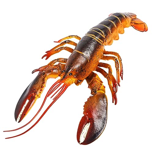 Abaodam Simulations-Hummer-Schmuck für Babykrabben Spielzeugkrabbe gefälschte Krabbe hühner Educational Toys Tiere Hummererkennungsmodell simuliertes Tier Plastik Abaodam Simulations-Hummer-Schmuck für Babykrabben Spielzeugkrabbe gefälschte Krabbe hühner Educational Toys Tiere Hummererkennungsmodell simuliertes Tier Plastik von Abaodam