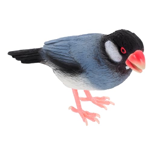 Abaodam Simulationsvogelmodell Für Miniatur Kleine Vogelfigur Künstliche Vogeldekoration Vogelszene Vogeldekoration Zubehörfiguren Simulationsvogel Schmücken Kinderschreibtisch Abaodam Simulationsvogelmodell Für Miniatur Kleine Vogelfigur Künstliche Vogeldekoration Vogelszene Vogeldekoration Zubehörfiguren Simulationsvogel Schmücken Kinderschreibtisch von Abaodam
