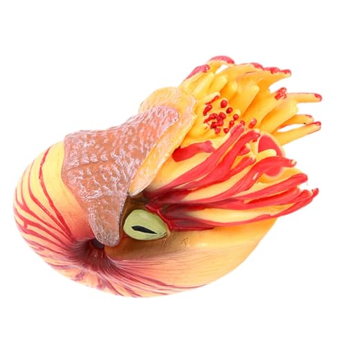 Abaodam Simuliertes Nautilus Modell aus Kunststoff Realistisches Meerestier für Deko Element für Aquarien und Lernspielzeug Fördert Kreativität und Farbkenntnis von Abaodam