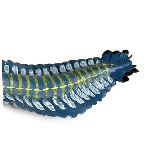 Abaodam Simuliertes Opabinia Modell Realistische Miniatur Prähistorisches Meeresbewohner dekor Pädagogisches Kunststoff Tiermodell Geeignet für Ab Jahren Büro Wohnraumgestaltung Abaodam Simuliertes Opabinia Modell Realistische Miniatur Prähistorisches Meeresbewohner dekor Pädagogisches Kunststoff Tiermodell Geeignet für Ab Jahren Büro Wohnraumgestaltung von Abaodam