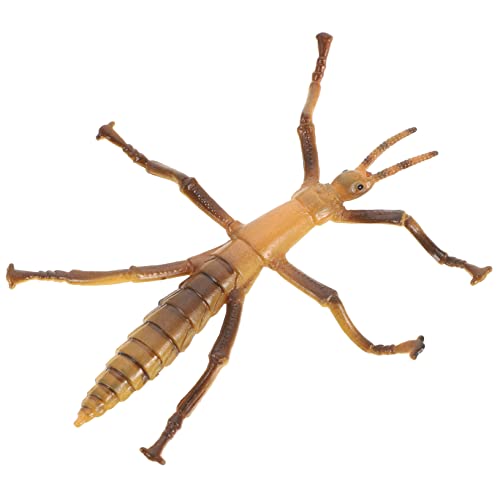 Abaodam Stabinsektenmodell Kleinkindspielzeug Gefälschte Mini-Bugs Realistisches Kinderspielzeug Fehler Für Interessantes Kinderspielzeug Tierspielzeug Kinderbedarf Plastik Abaodam Stabinsektenmodell Kleinkindspielzeug Gefälschte Mini-Bugs Realistisches Kinderspielzeug Fehler Für Interessantes Kinderspielzeug Tierspielzeug Kinderbedarf Plastik von Abaodam
