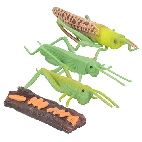 Abaodam Teiliges Tier Lebenszyklus Modell für Pädagogische Wachstumszyklus Figuren mit Realistischen Insekten für Vorschulunterricht Rollenspiele und Naturwissenschaften Abaodam Teiliges Tier Lebenszyklus Modell für Pädagogische Wachstumszyklus Figuren mit Realistischen Insekten für Vorschulunterricht Rollenspiele und Naturwissenschaften von Abaodam