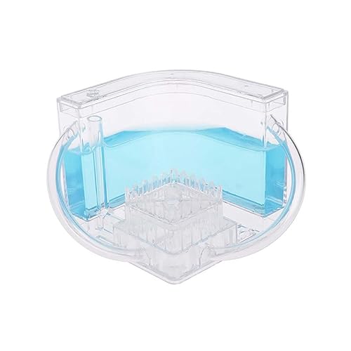 Ant Farm Ant Works Farm Castle transparentes Plastikhaus für Kinder Bildungsspielzeug (blau) von Abibiocy