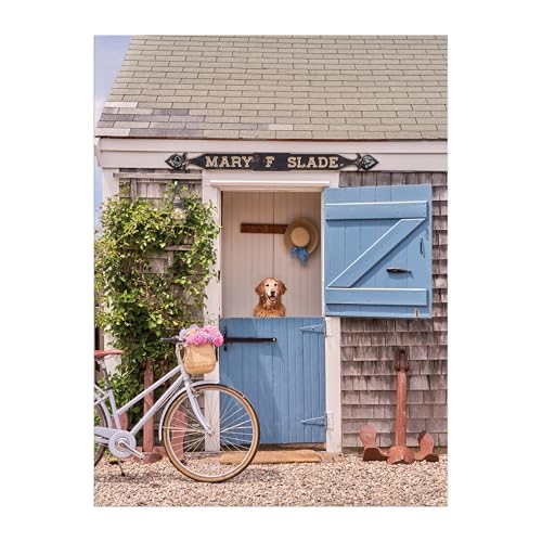 Gray Malin Nantucket 1000 Piece Book Box Puzzle von Galison