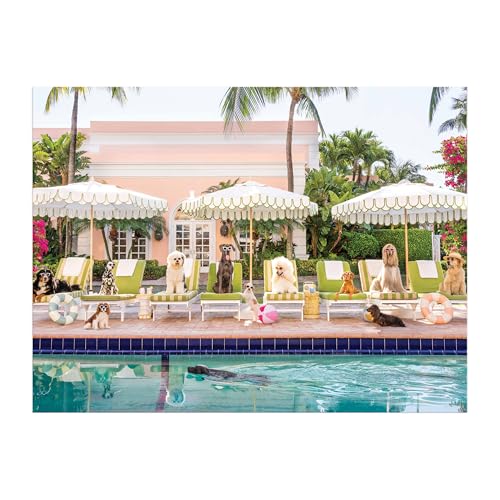 Gray Malin Palm Beach 1000 Piece Book Box Puzzle von Galison