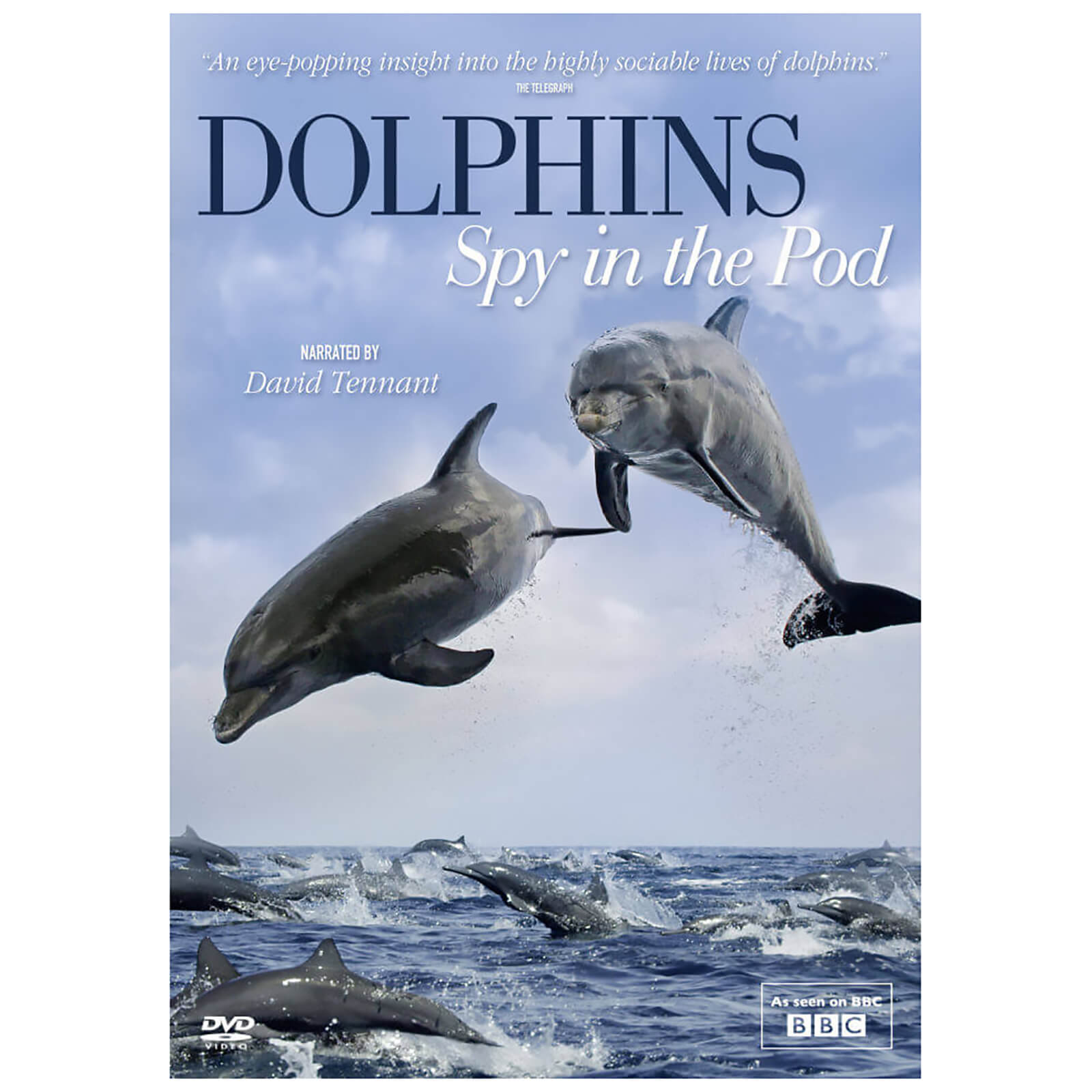 Dolphins Spy in the Pod von Acorn Media