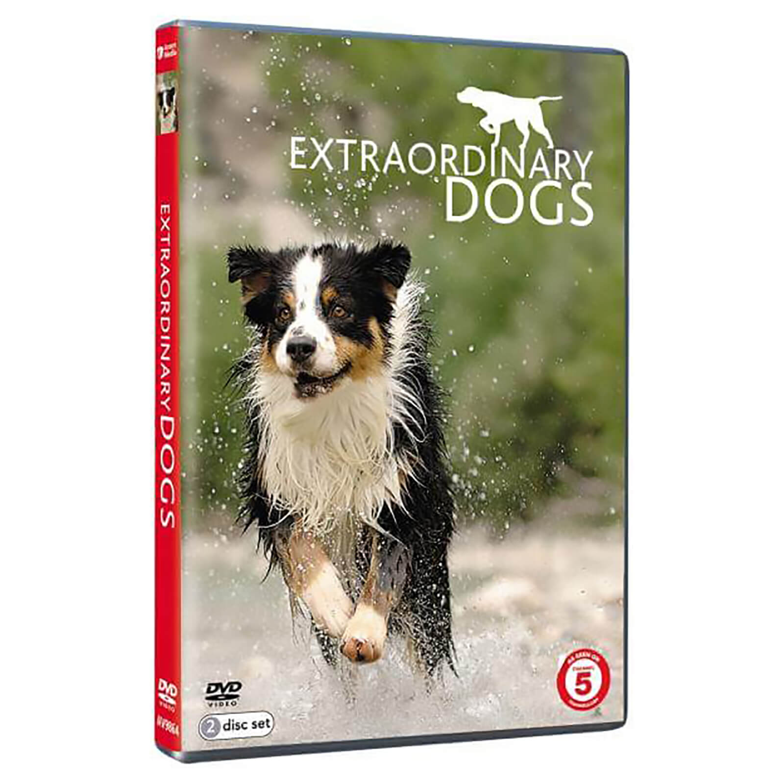 Extraordinary Dogs Extraordinary Dogs von Acorn Media