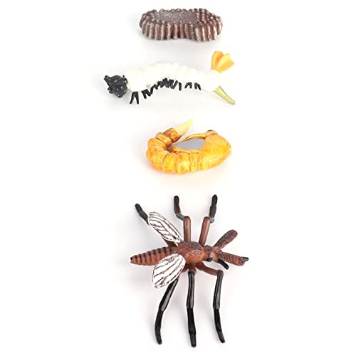 Acouto Insektenlebenszyklus -Bildungsfiguren Ameisen -Wachstum Model Spielzeug für und Schulprojekte aus Vinylmaterial (#1) von Acouto