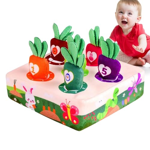 Acunny Karottenspielzeug, Karottenerntspiel aus Plüsch | Sensory Box Sortieren und Zählen des Puzzlespiels für Geschenke zur Ernte von Karotten von 1 bis 3 Jahren von Acunny