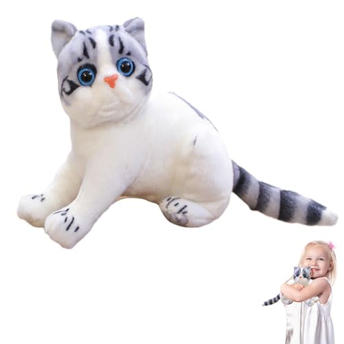 Acunny Katzen-Plüschkissen, aus Plüsch, Katze, niedlich, zum Sammeln – von Tieren zum Anfassen, bequem für , Mädchen, Kinder, Acunny Katzen-Plüschkissen, aus Plüsch, Katze, niedlich, zum Sammeln – von Tieren zum Anfassen, bequem für , Mädchen, Kinder, von Acunny