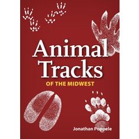 Animal Tracks of the Midwest Playing Cards von Adventure Publications