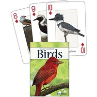 Birds of the Gulf Coast Birds of the Gulf Coast von Adventure Publications