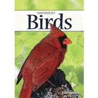 Birds of the Midwest von Adventure Publications