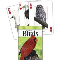 Birds of the Midwest von Adventure Publications