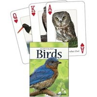 Birds of the Northeast Playing Cards von Adventure Publications