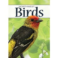Birds of the Northwest Playing Cards von Adventure Publications