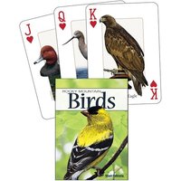 Birds of the Rocky Mountains Playing Cards von Adventure Publications