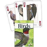 Birds of the Southeast Birds of the Southeast von Adventure Publications