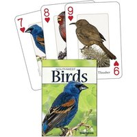 Birds of the Southwest Birds of the Southwest von Adventure Publications