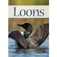 Loons Playing Cards von Adventure Publications