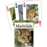 Mammals of the Gulf Coast Mammals of the Gulf Coast von Adventure Publications