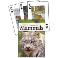 Mammals of the Northeast Playing Cards von Adventure Publications