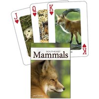 Mammals of the Southeast Mammals of the Southeast von Adventure Publications