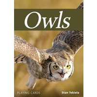 Owls Playing Cards von Adventure Publications