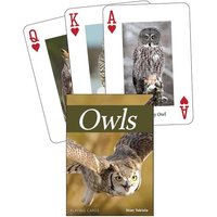 Owls Playing Cards Owls Playing Cards von Adventure Publications