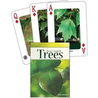 Trees of the Gulf Coast Trees of the Gulf Coast von Adventure Publications