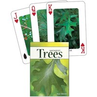 Trees of the Midwest Trees of the Midwest von Adventure Publications