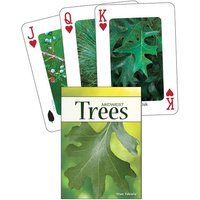 Trees of the Midwest Trees of the Midwest von Adventure Publications