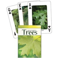 Trees of the Southwest Trees of the Southwest von Adventure Publications