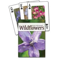 Wildflowers Of The Rocky Mount von Adventure Publications