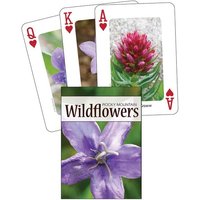 Wildflowers Of The Rocky Mount von Adventure Publications