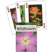 Wildflowers of the Northeast Playing Cards von Adventure Publications
