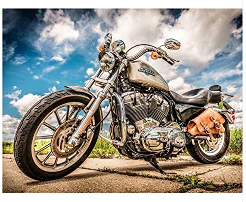 Agolong DIY Malen nach Zahlen Motorrad Acryl Malerei Moderne Bild Home Decor für Wohnzimmer Ohne Frame 40x50cm Agolong DIY Malen nach Zahlen Motorrad Acryl Malerei Moderne Bild Home Decor für Wohnzimmer Ohne Frame 40x50cm von Agolong