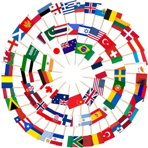 AhfuLife 100 Länder Internationale Zahnstocher Cocktail Flagge, 100 Länder Weltflaggen Fahne Zahnstocher für Frauen Fußball EM 2025 Eurovision WM Olympische Bar Party Dekoration von AhfuLife