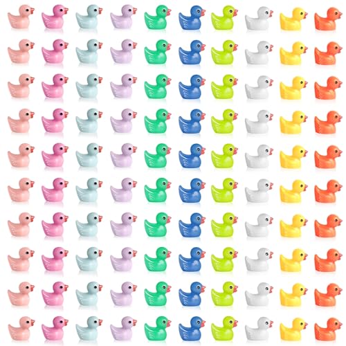 AiQInu 100 Stück Mini Harzente Ente, Bunte Kleine Enten, Figuren Ente 10 Farben für Miniaturfiguren Aquarium GartenLandschaft Puppenhaus Ornament Basteln DIY-Zubehör Miniaturstatuen und Heimdekora von AiQInu