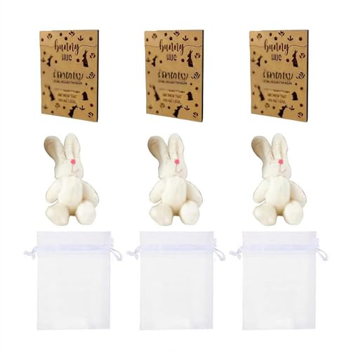 Ainiupi Hasen-Umarmung, Partyzubehör, Ostertasche, Hasen-Umarmung, Geschenk mit Karte, Organza-Beutel für Lehrer, Studenten, Ostern, Party, Gastgeschenke, Brauthochzeit Ainiupi Hasen-Umarmung, Partyzubehör, Ostertasche, Hasen-Umarmung, Geschenk mit Karte, Organza-Beutel für Lehrer, Studenten, Ostern, Party, Gastgeschenke, Brauthochzeit von Ainiupi