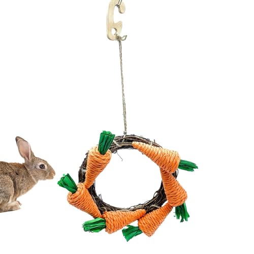 Aizuoni Kaninchen-Beißspielzeug, Hasen-Kauspielzeug - Papageien-Kauspielzeug,Karotten-Design, Eichhörnchen-Molar-Spielzeug, Chinchilla-Spielzeug, Beißspielzeug, Kaninchenspielzeug für Käfig, kleine von Aizuoni