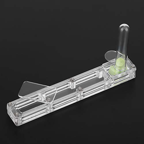 Acryl-Ameisenzuchthaus-Formicarium-Display-Box mit Wasserturm, Feuchtigkeitsspendend, Transparent, Professionelles Zubehör für den Einsatz (#1) von Akozon