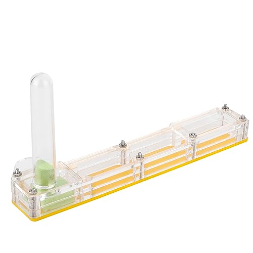 Acryl-Ameisenzuchthaus-Formicarium-Display-Box mit Wasserturm, Feuchtigkeitsspendend, Transparent, Professionelles Zubehör für den Einsatz (#2) von Akozon
