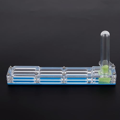 Acryl-Ameisenzuchthaus-Formicarium-Display-Box mit Wasserturm, Feuchtigkeitsspendend, Transparent, Professionelles Zubehör für den Einsatz (#3) von Akozon